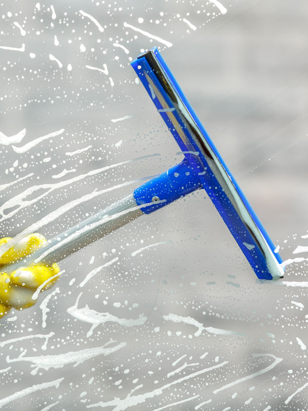 Window Cleaning Services